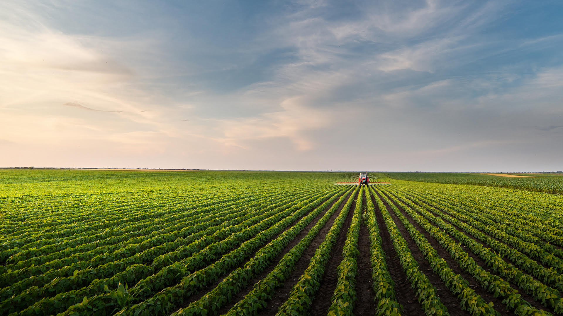 Find commercial realty solutions in Mankato